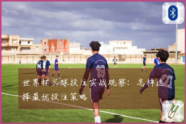 世界杯买球投注实战观察：怎样选择最优投注策略