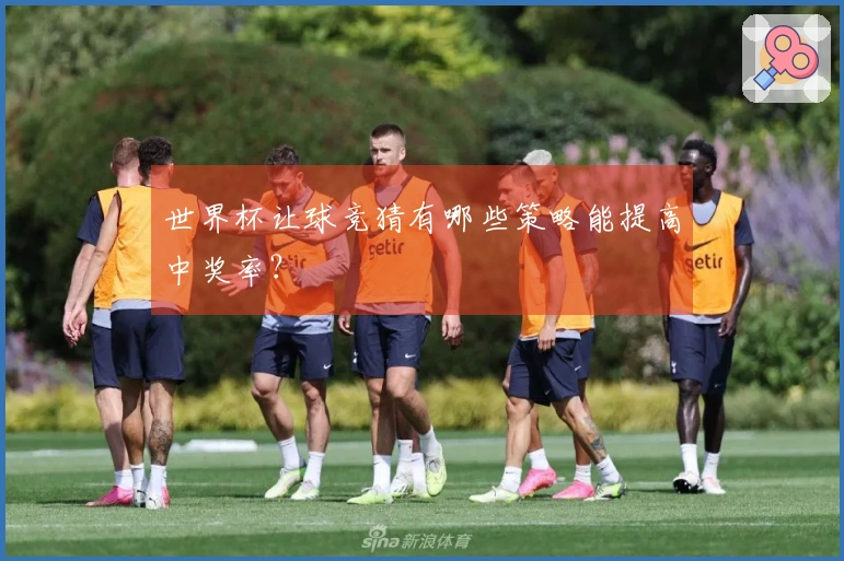 世界杯让球竞猜有哪些策略能提高中奖率？