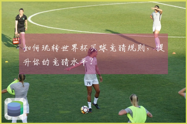 如何玩转世界杯买球竞猜规则，提升你的竞猜水平？